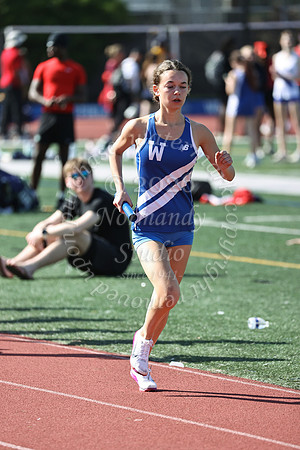WHS_tr-g_01