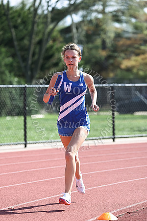WHS_tr-g_03