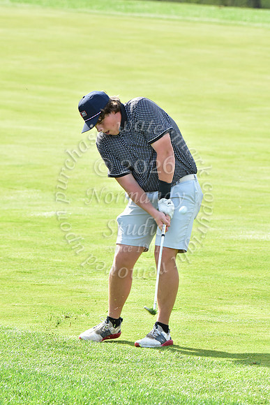 WHS_go-b_15