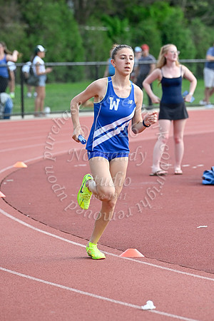 WHS_tr-g_11