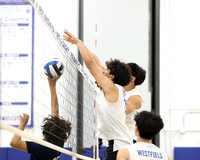 WHS_vb-b-j_03