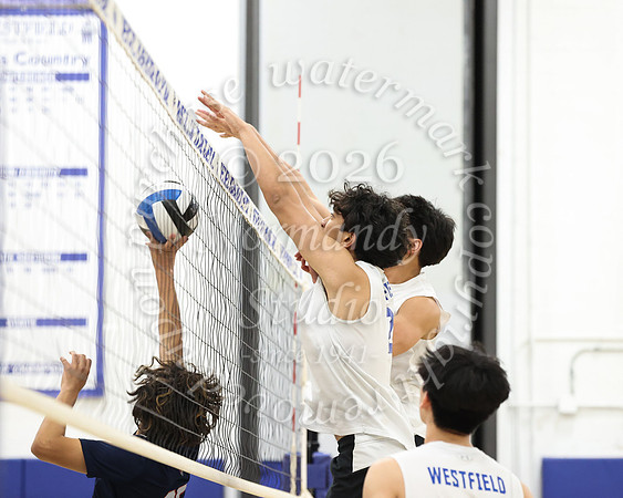 WHS_vb-b-j_03
