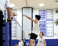 WHS_vb-b-j_18