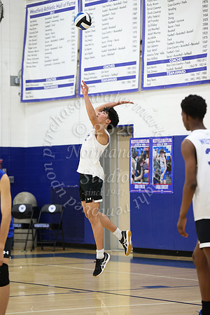 WHS_vb-b-j_29