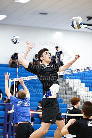 WHS_vb-b-v_07