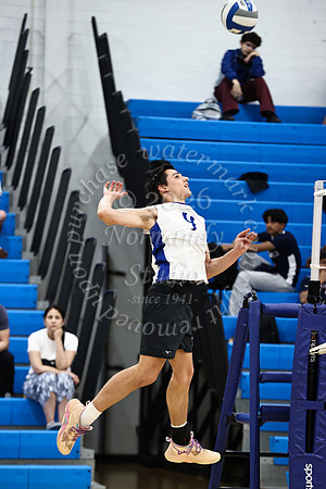 WHS_vb-b-v_05