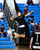 WHS_vb-b-v_15