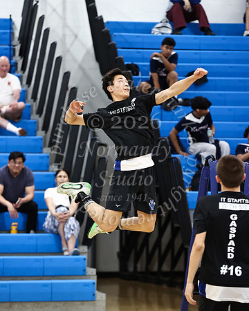 WHS_vb-b-v_15