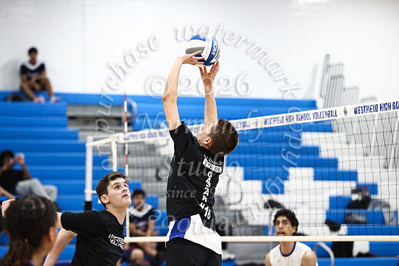 WHS_vb-b-v_18