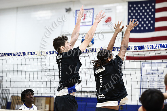 WHS_vb-b-v_19