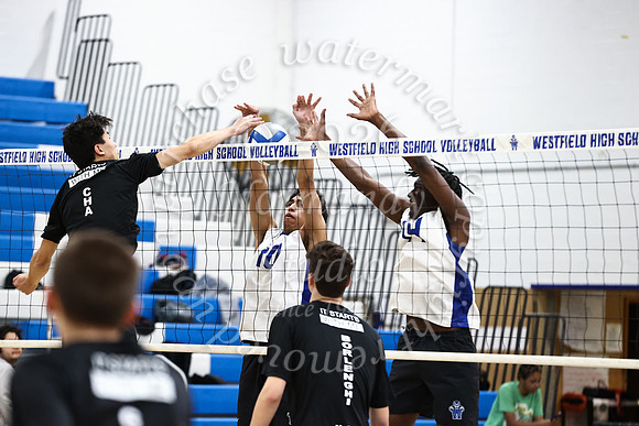 WHS_vb-b-v_22