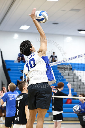 WHS_vb-b-v_01