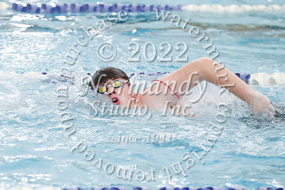 SVL_sw-b_017