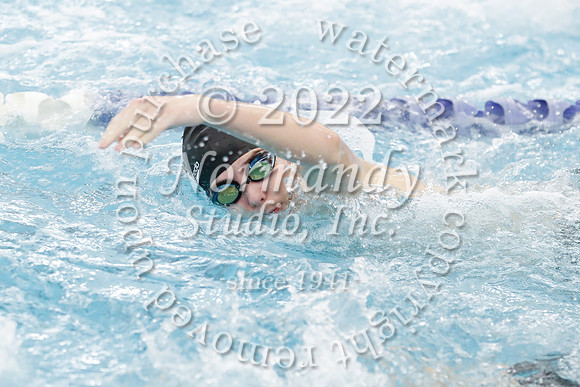 SVL_sw-b_033