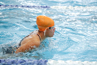 SVL_sw-g_016