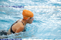 SVL_sw-g_017