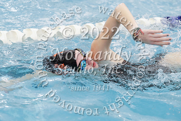 SVL_sw-g_033