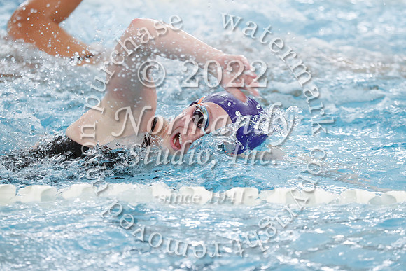 SVL_sw-g_037