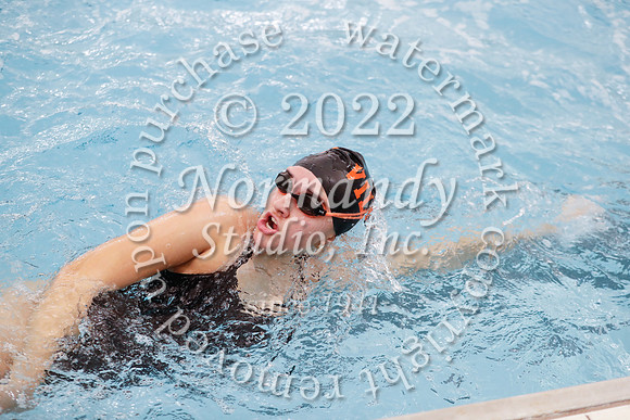 SVL_sw-g_038