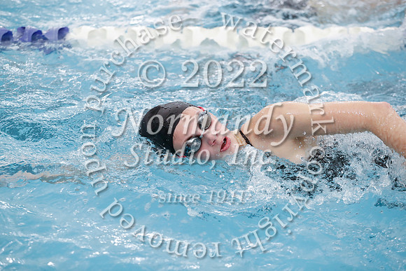 SVL_sw-g_041