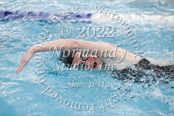 SVL_sw-g_043