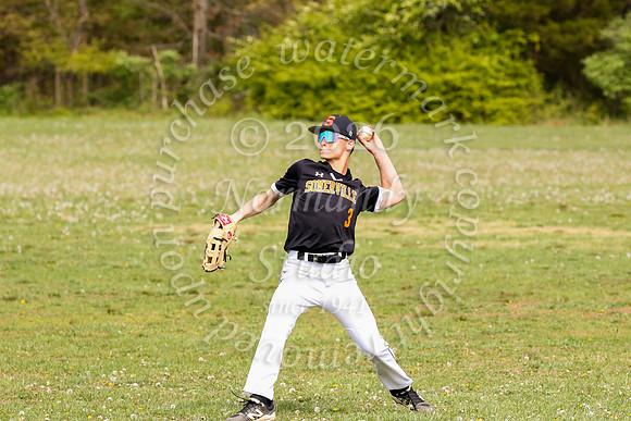 SVL_bb-f_07