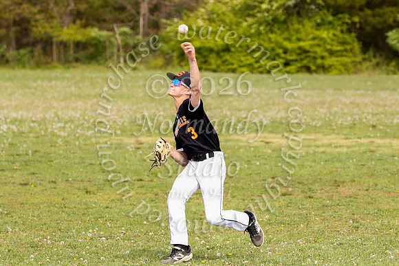 SVL_bb-f_08