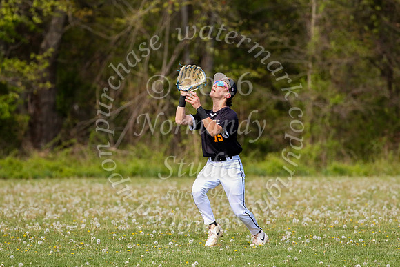 SVL_bb-f_21