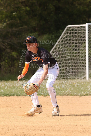 SVL_bb-f_73