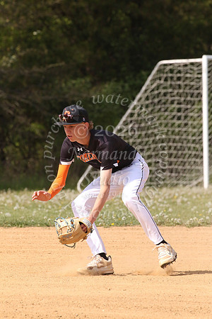 SVL_bb-f_74