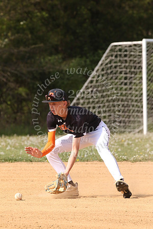 SVL_bb-f_75