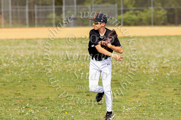SVL_bb-f_05