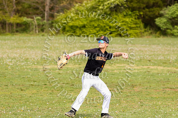 SVL_bb-f_06