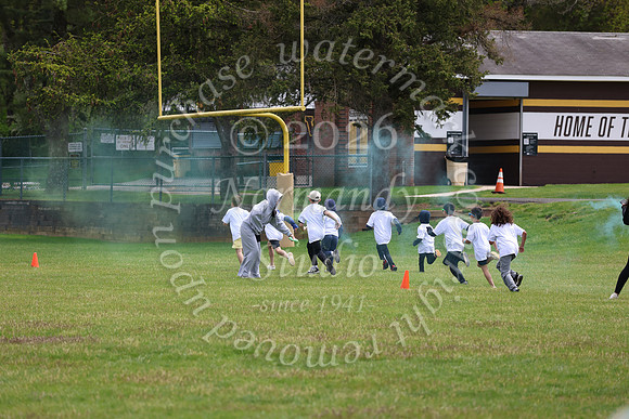 WTG_unified-color-run_03