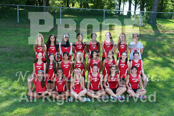MNP_cc-g-t_2278