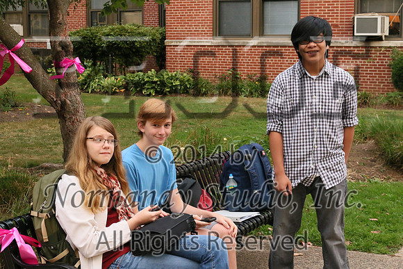WHS_010_slc