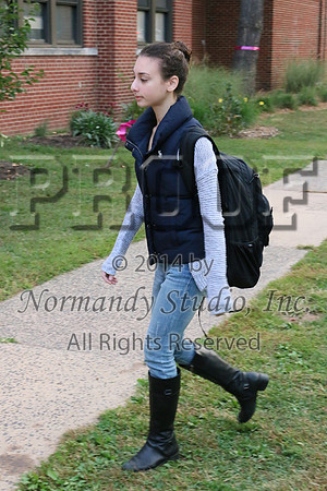 WHS_032_slc