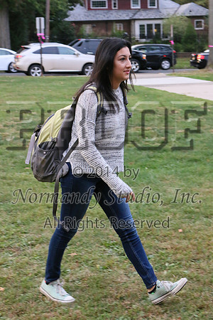 WHS_037_slc