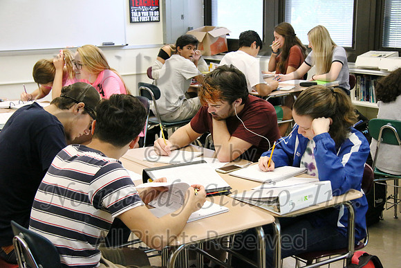 WHS_063_slc