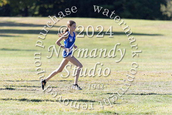 WHS_cc-g_06