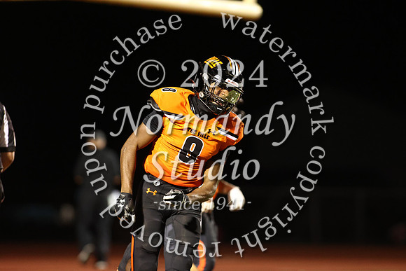SVL_fb_80