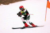 RDG_16_sk-b