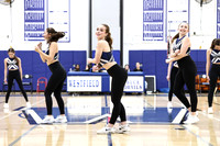 WHS_dt_005