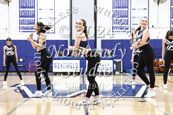 WHS_dt_005
