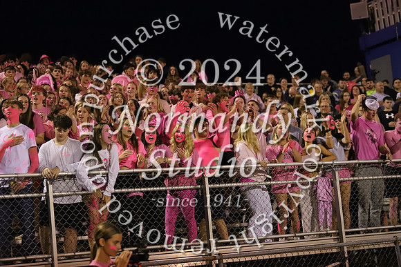 DVH_fans_24