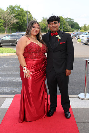 FTH_red_carpet_entrance_004