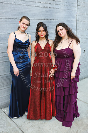 VOR_prom_19
