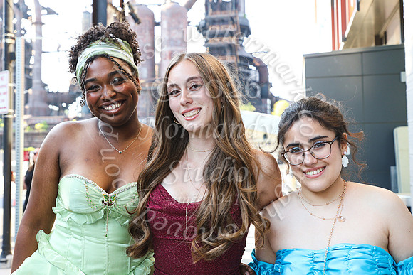 VOR_prom_33