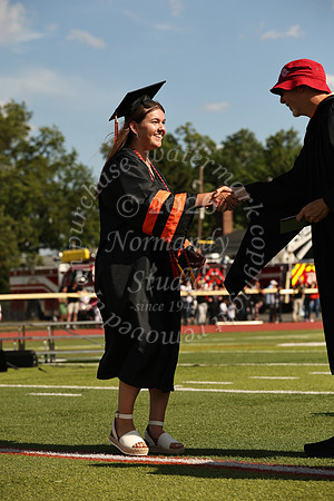SVL_grad_20