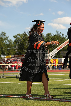SVL_grad_29